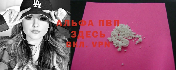 молекула духа Вязьма
