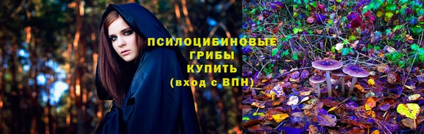 молекула духа Вязьма
