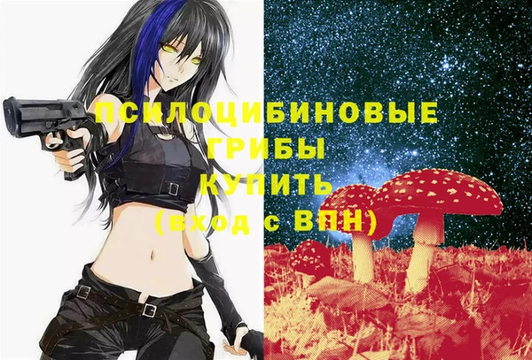молекула духа Вязьма
